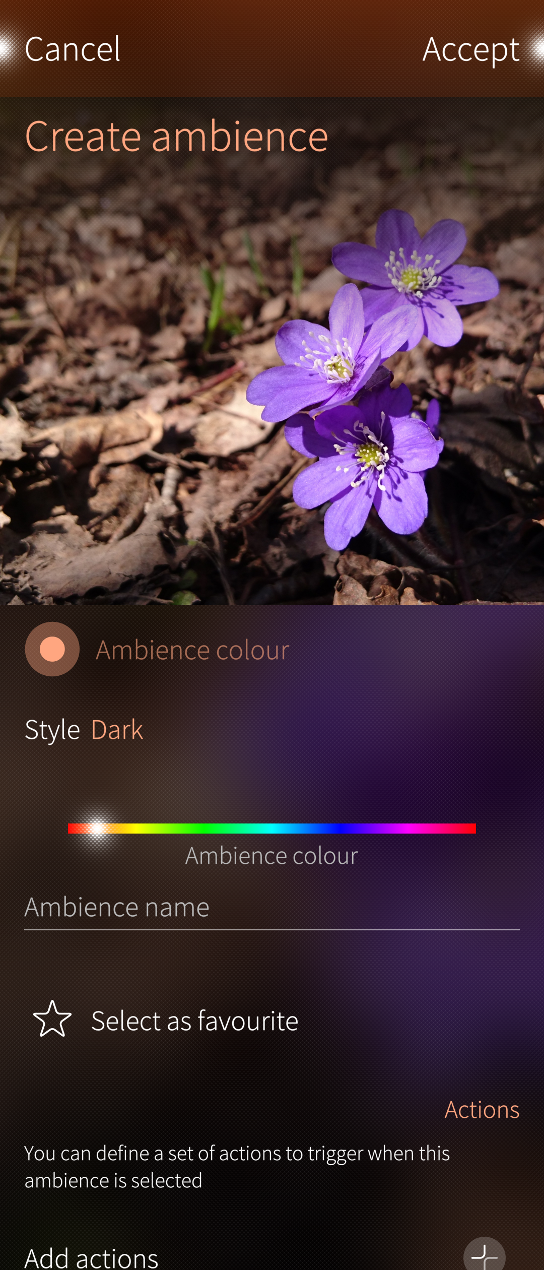 <Settings of ambience from the Gallery tool